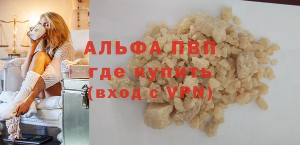 винт Ельня