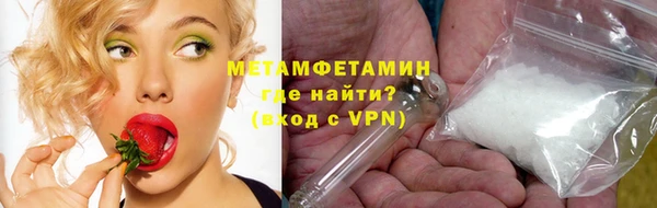 прущие грибы Зерноград