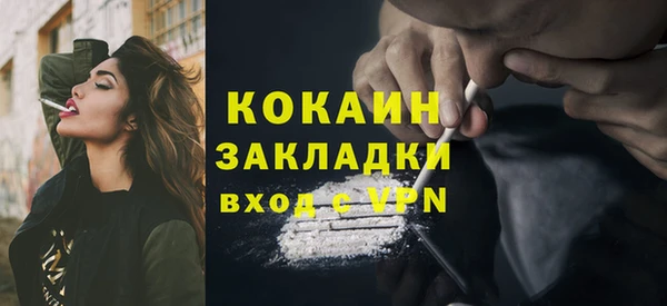 винт Ельня