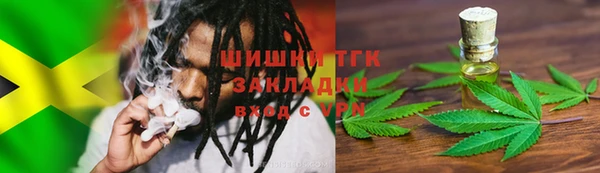 прущие грибы Зерноград