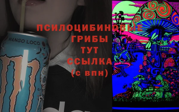 винт Ельня