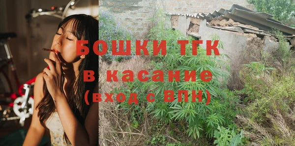 прущие грибы Зерноград
