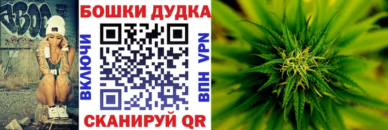 Каннабис планчик  где продают   гидра зеркало  Красавино 